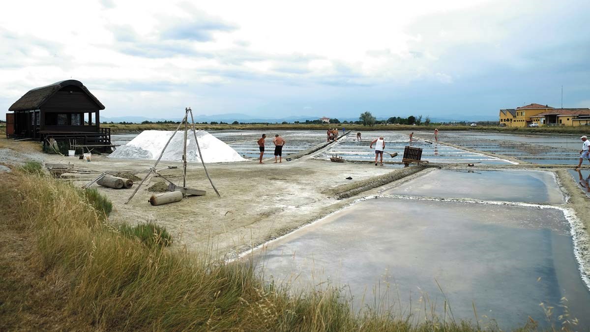 Storia Della Salina Di Cervia Presentato Il Calendario 2020 4live it