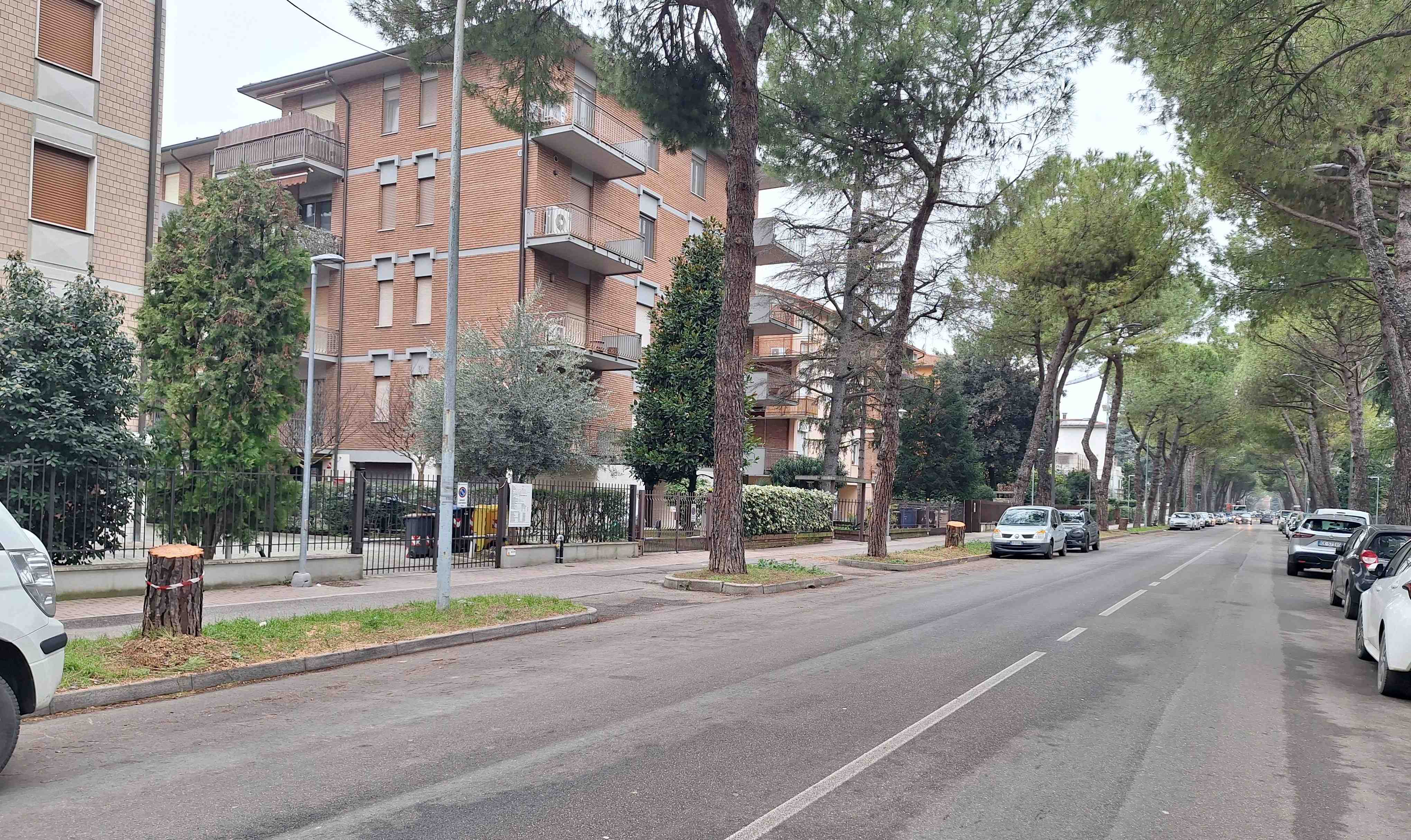 La forza degli eventi sostituirà quella mancante della politica del verde?