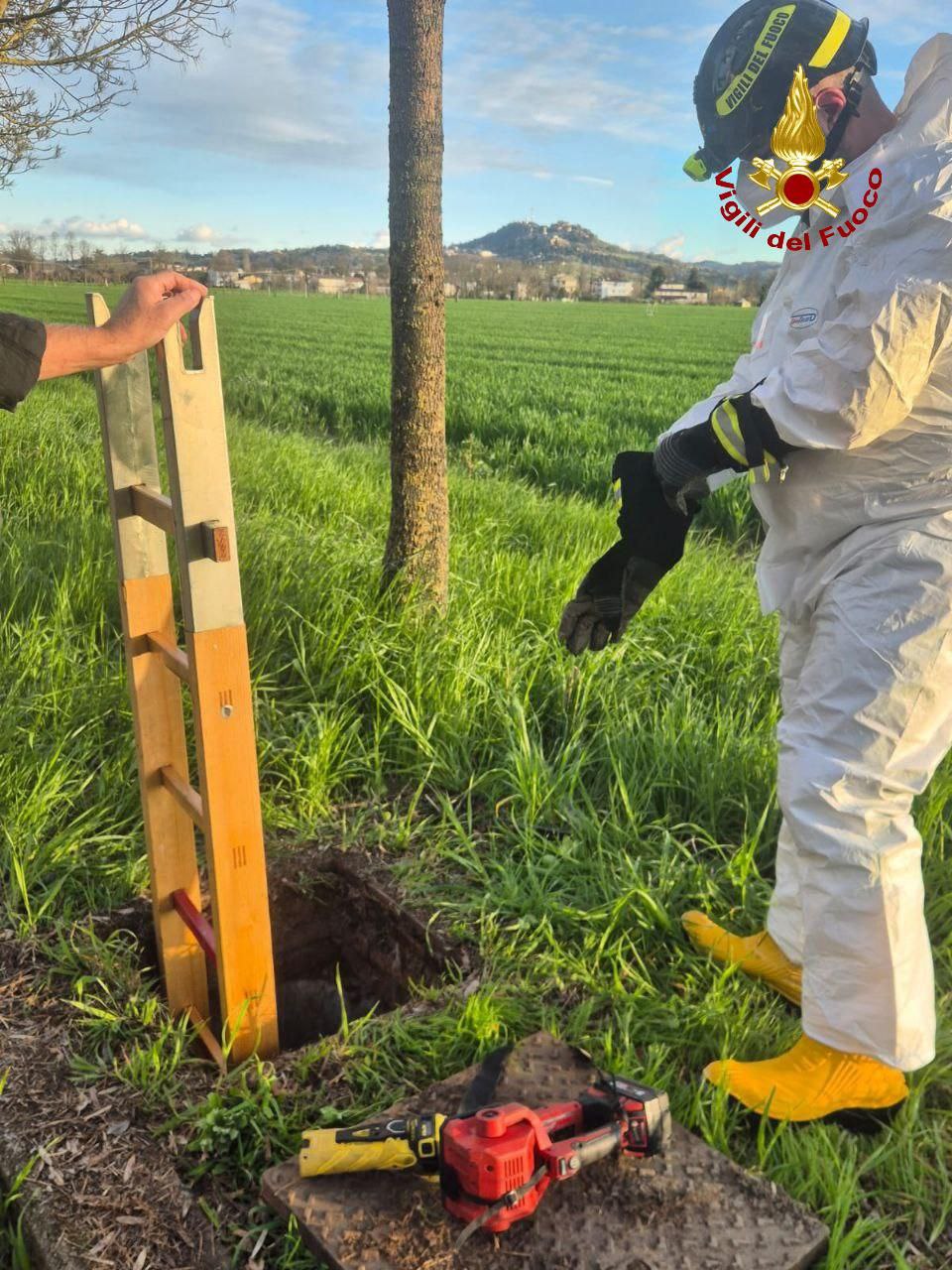 Salvataggio di un gatto ferito in via Damassa